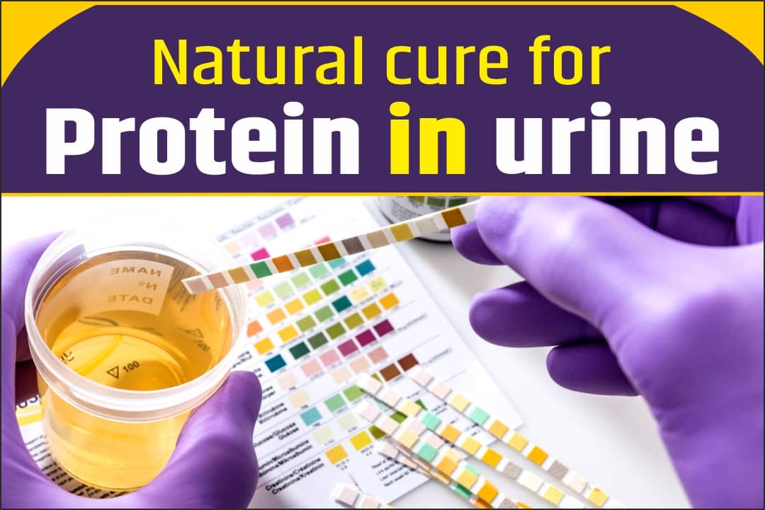 Natural cure for protein in urine